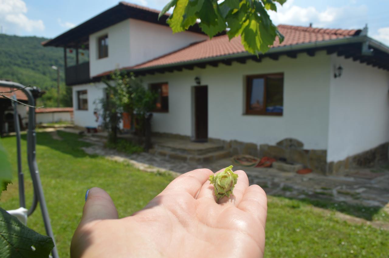 Guest House Yana Tŭrkasheni Exterior foto